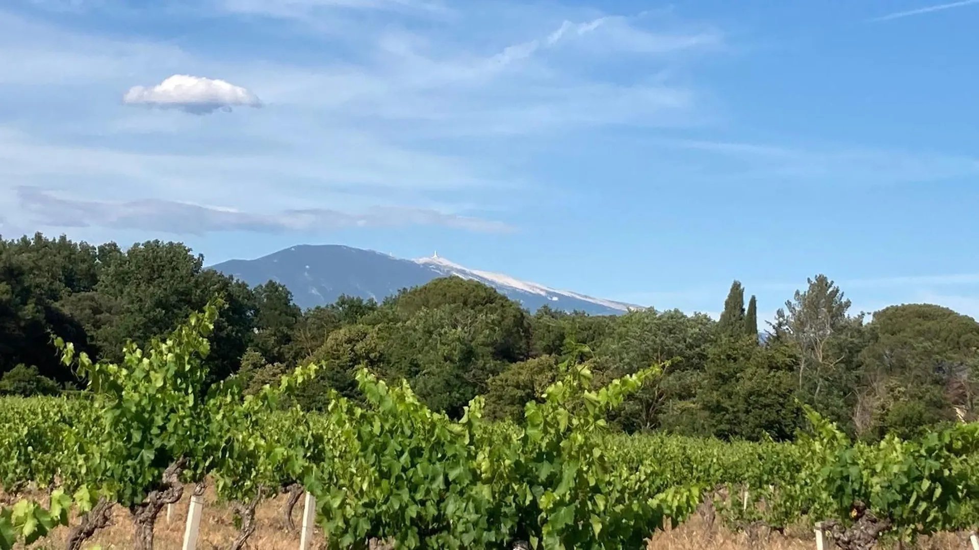 Holiday home Pause Spa Sur La Route Du Ventoux Adults Only Carpentras